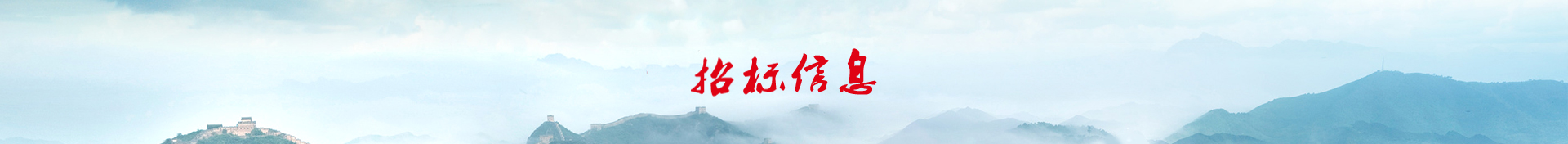 招标信息